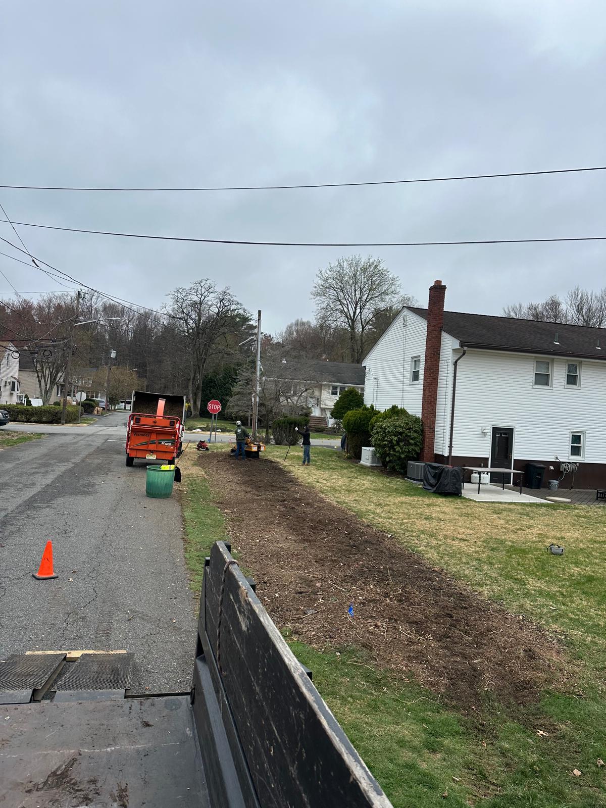 After tree removal in Emerson NJ - safe cleared property